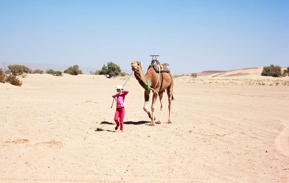 excursion marrakech